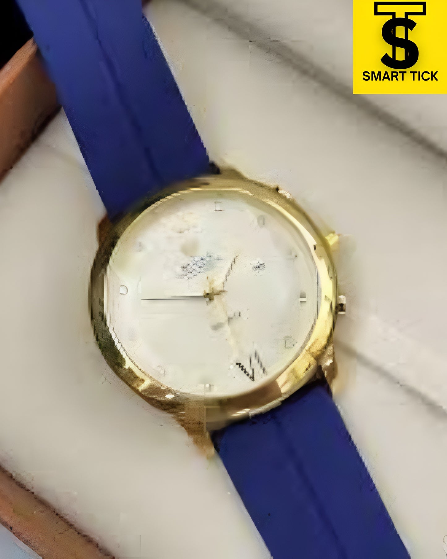 Rolax with Date Magnetic strip Watch