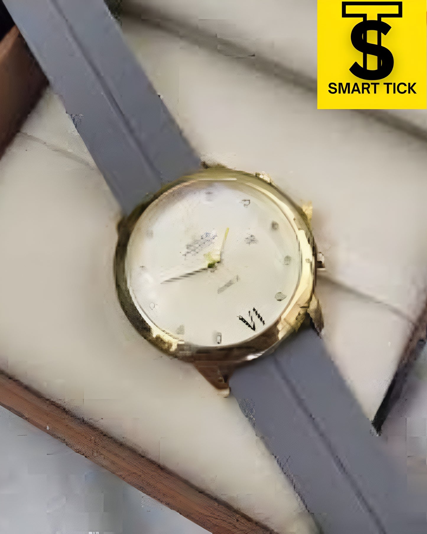 Rolax with Date Magnetic strip Watch